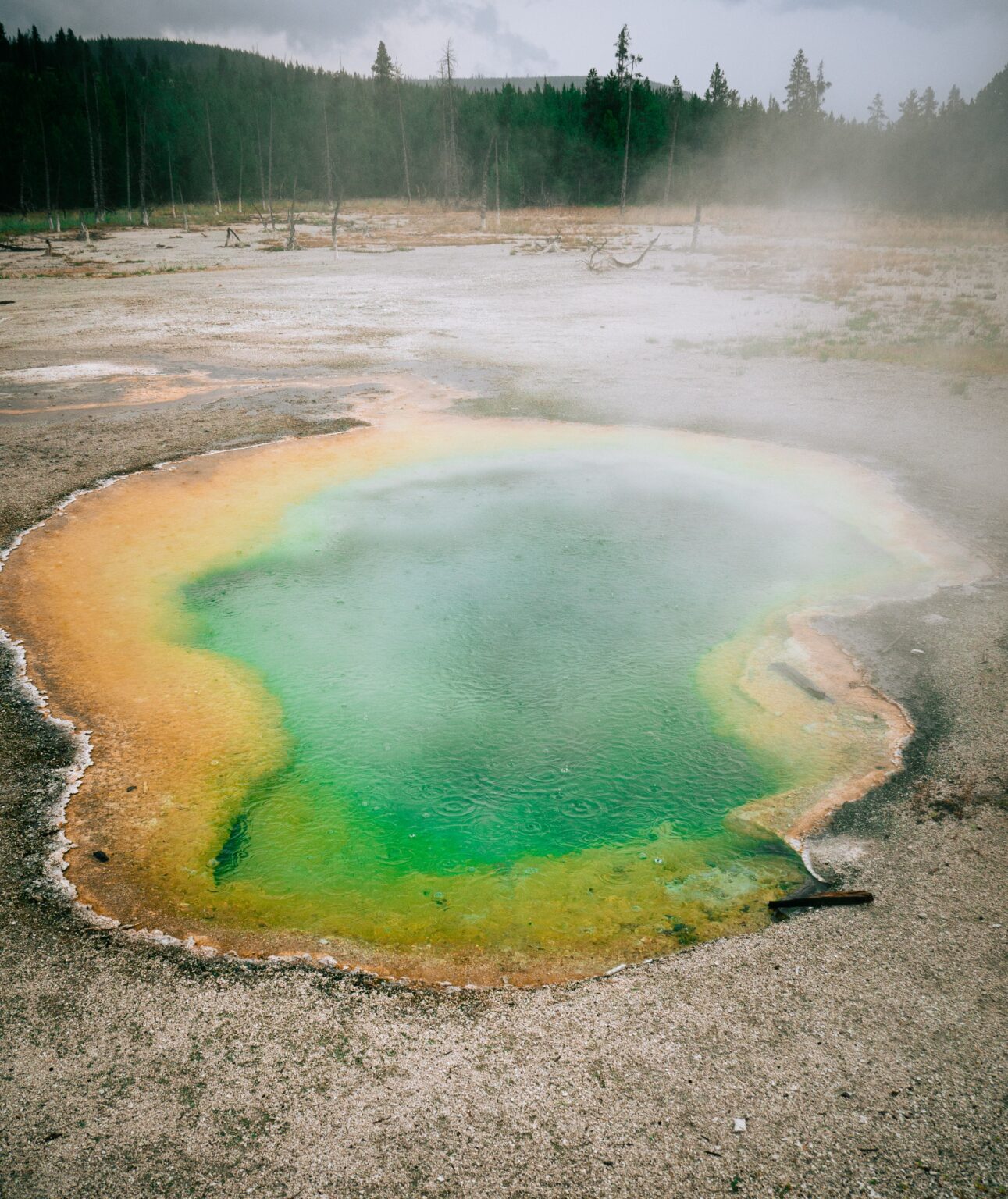 Pitblado Law Winnipeg Law Firm